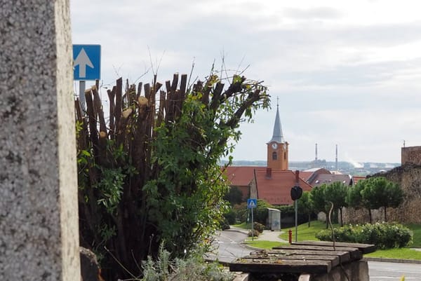 Nem a megszaladt fűrésztől lesz szebb a Kálvária út, hanem egy utolsó utáni Kővári-akciótól